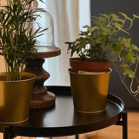 Tecnopolo Fiera Apartmán