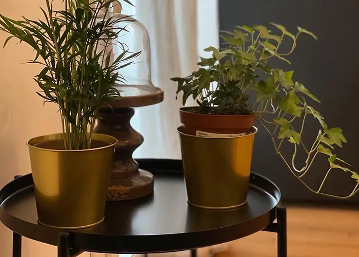 Tecnopolo Fiera 아파트